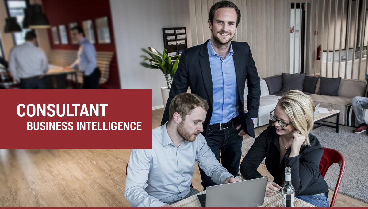 Consultant Business Intelligence