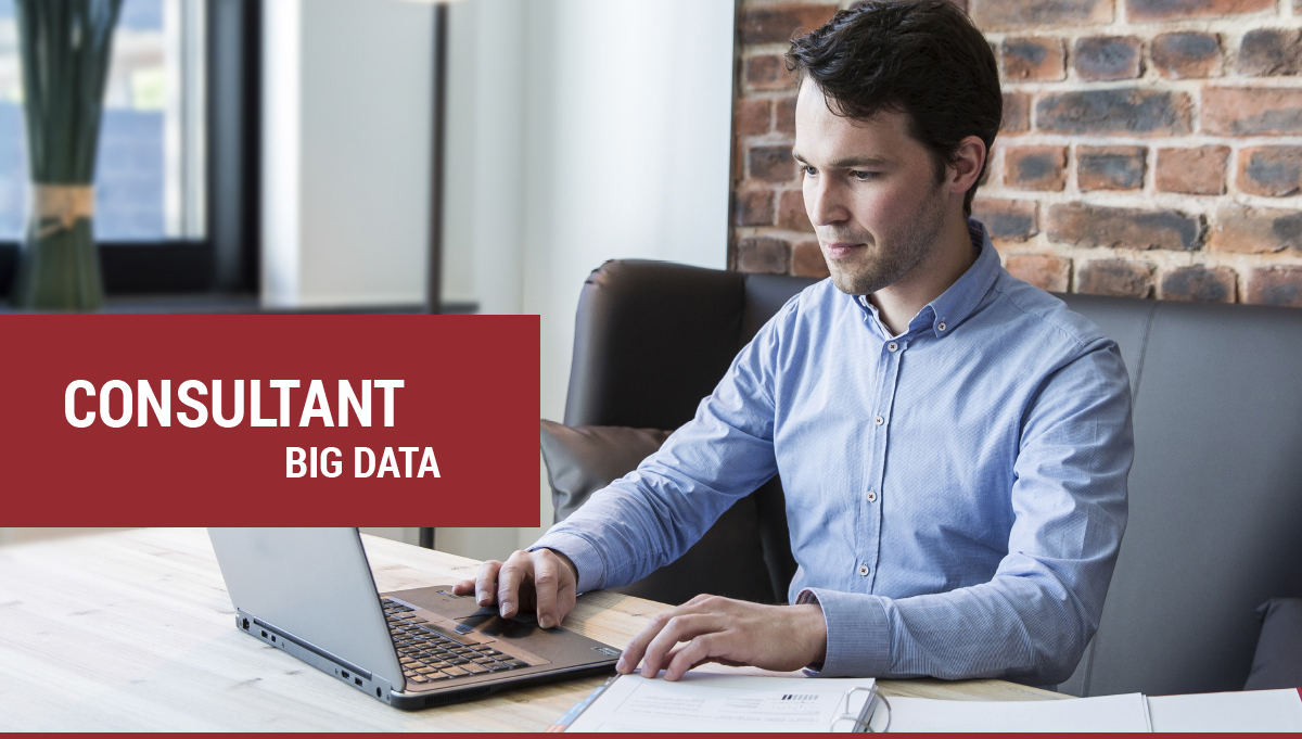 Consultant Big Data