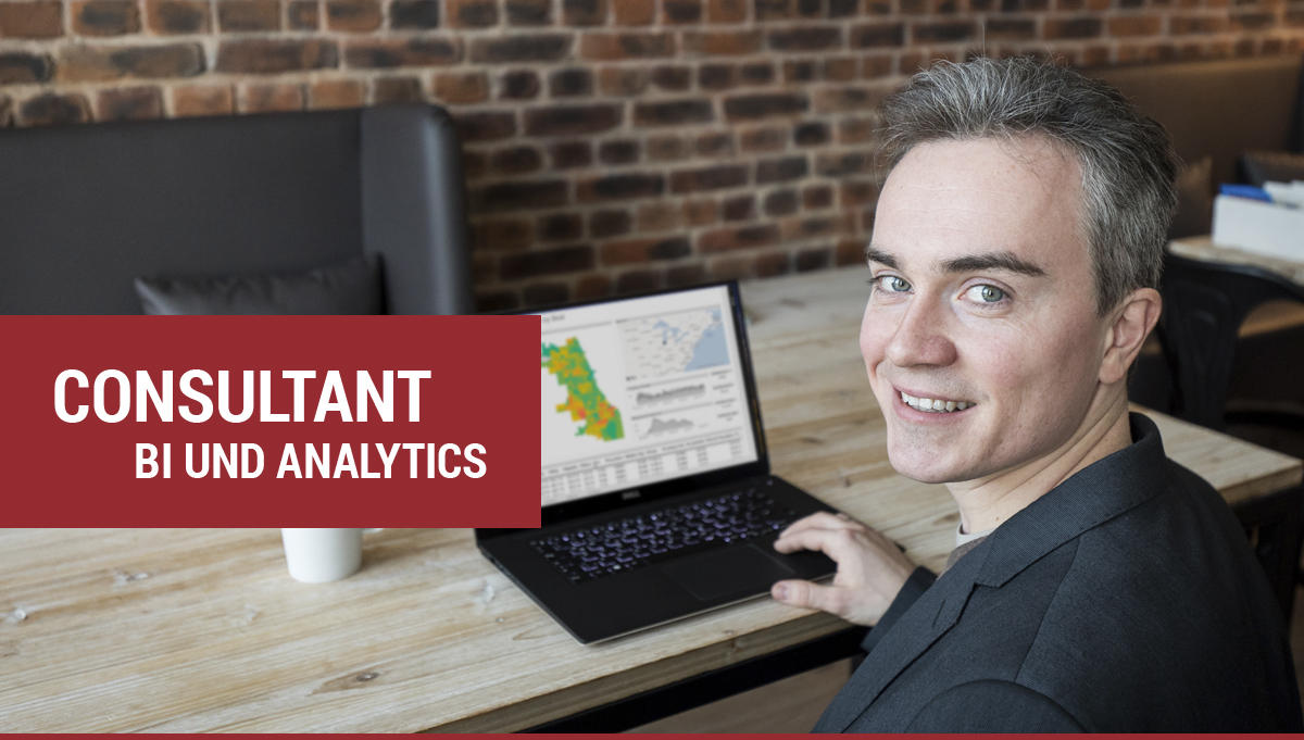 Consultant BI und Analytics