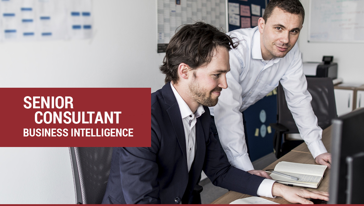 Senior Consultant Business Intelligence