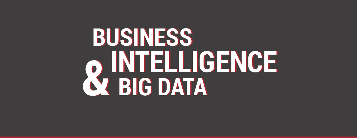 Business Intelligence und Big Data