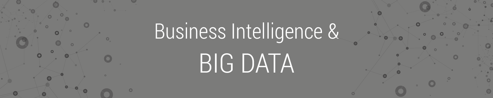 Business Intelligence und Big Data
