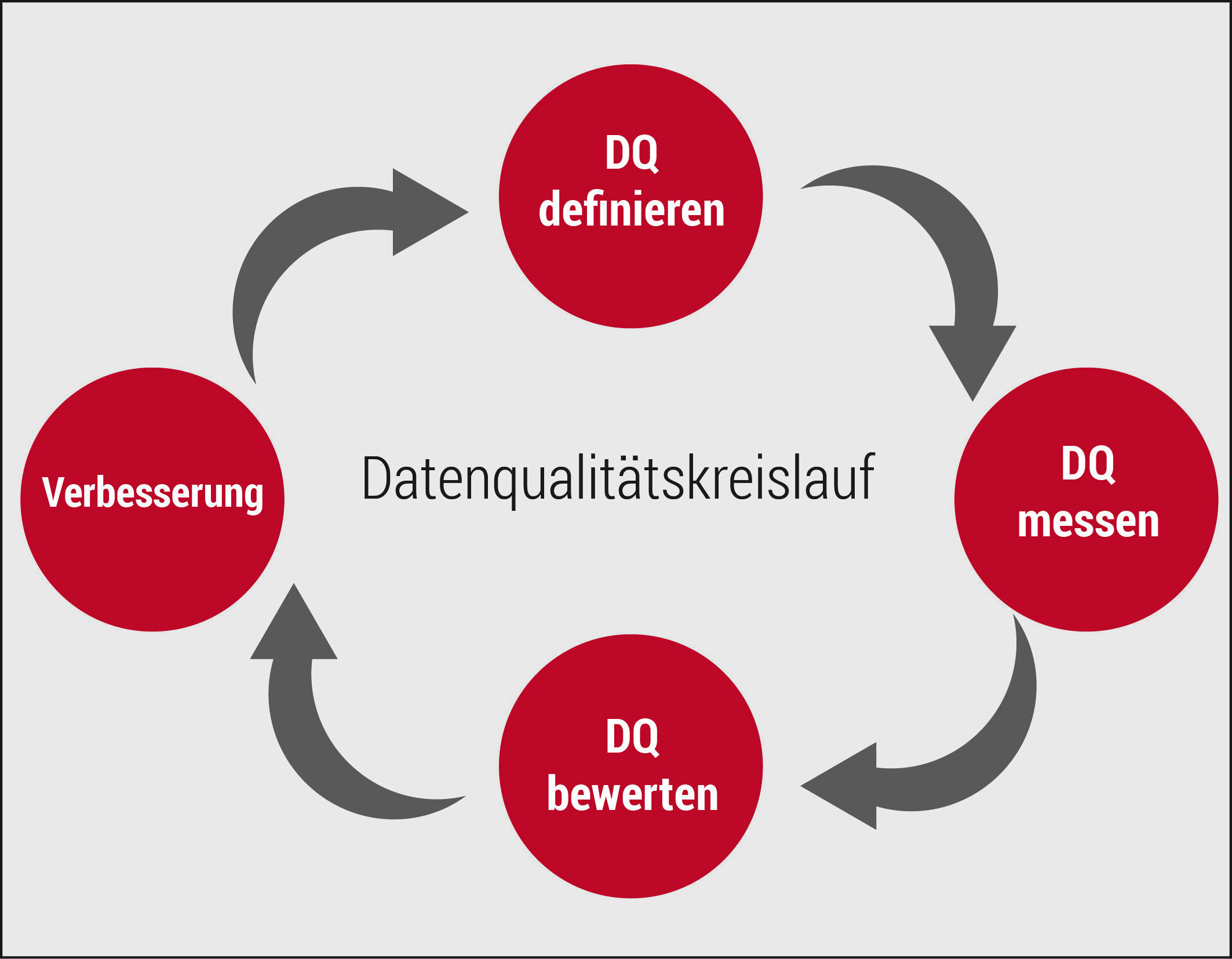 Grafik zum Data Quality Circle