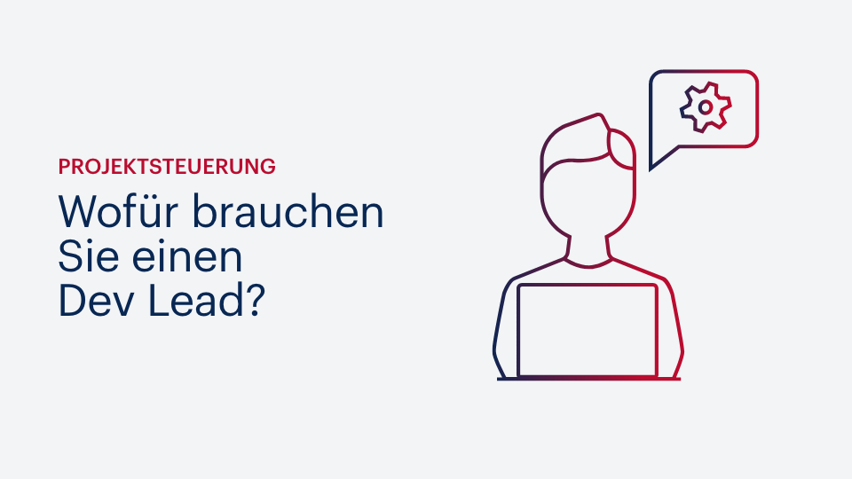 Wofür brauchen Sie einen Dev Lead?